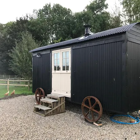Hexhamshire Shepherd Hut Exterior photo